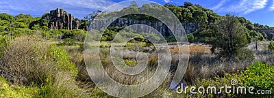 Panorama view of basalt rock formations and Australian bush mash land at Bombo Headland quarry, New South Wales coast Stock Photo