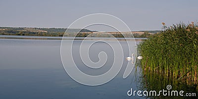 Panorama view from Kis(s) Balaton in Hungary Stock Photo