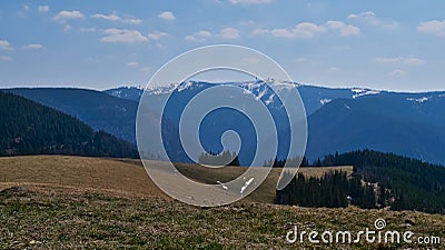 Panorama view of snow-capped Feldberg (1,493 m), the largest peak of low mountain range Black Forest, Germany. Stock Photo