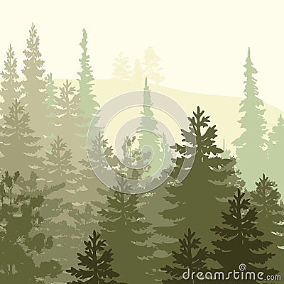 Panorama of wild coniferous forest Stock Photo