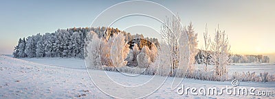 Panorama of winter nature landscape. Panoramic view on frosty trees on snowy meadow in morning with warm yellow sunlight Stock Photo