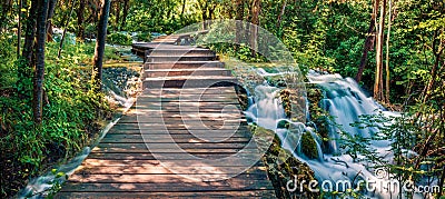 Panoramac view of wooden pathway in the deep green forest. Picturesque summer scene of Krka National Park, Croatia, Europe. Beauti Stock Photo