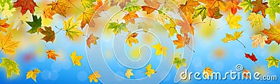 Panoramic autumn background Stock Photo
