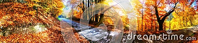 Panoramic autumn landscape with country road in orange tone Stock Photo