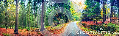 Panoramic autumn landscape with forest road. Fall nature background Stock Photo