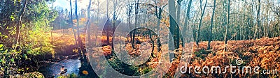 Panoramic autumn landscape with forest stream Stock Photo