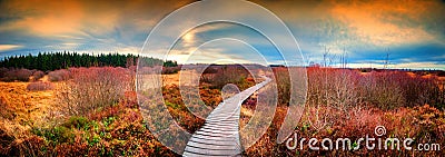 Panoramic autumn landscape with wooden path. Fall nature background Stock Photo