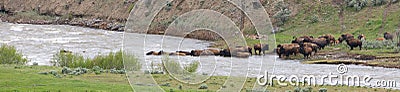 Panoramic of buffalo river crossing Stock Photo