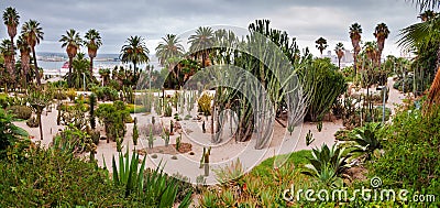 Panoramic of Cactus Park at Montjuic Barcelona Stock Photo