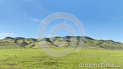 Panoramic view of central california hills after recent rains promoting green pastures Stock Photo