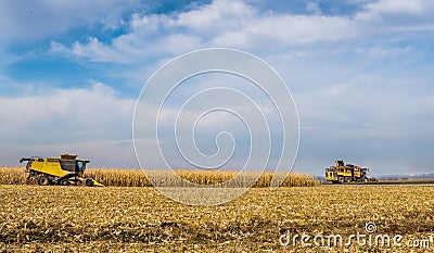 Panoram of corn field where harvesters are working, beautiful sky Editorial Stock Photo