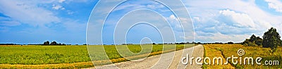 Panoramic countryside wide road view with trees behind. Rural summer landscape. Typical european pastoral meadow, pasture, field. Stock Photo