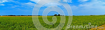 Panoramic countryside wide view with trees behind. Rural summer Stock Photo