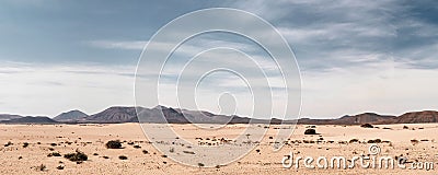 Panoramic empty desert background Stock Photo