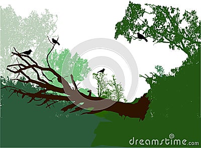 Panoramic forest landscape with fallen tree, bushes and birds Vector Illustration