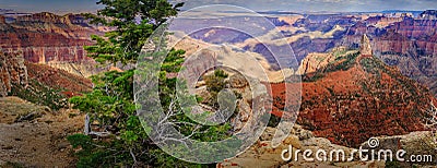 Panoramic of the Grand Canyon from the North Rim Imperial Point Stock Photo