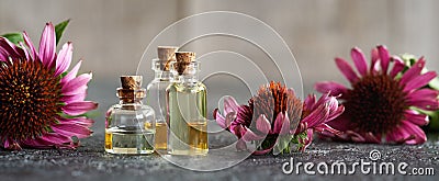 Panoramic header with essential oil bottles and echinacea flowers Stock Photo