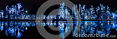 Panoramic, Illuminated trees, reflex, christmas Editorial Stock Photo