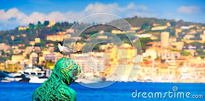 Panoramic image of a black headed seagull and the mermaid Atlante Stock Photo