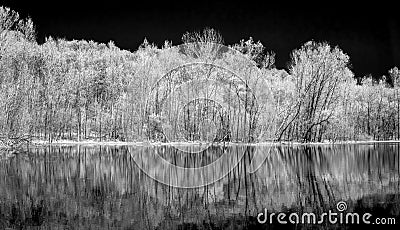 Panoramic Infrared Black and White Lake, Forest, and Sky Stock Photo