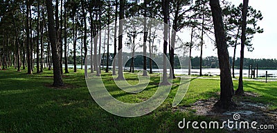 Panoramic lake view with trees Stock Photo