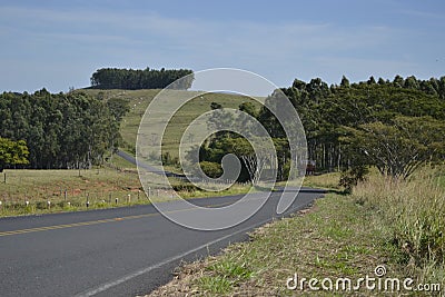 Panoramic or landscape of nature with curved paved road in front and in the background and mountains with many trees and green pla Stock Photo