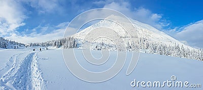 Panoramic landscape of a snowy forest in the mountains on a sunny winter day whis. Ukrainian Carpathians, near Mount Petros, there Stock Photo