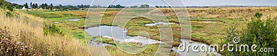 Panoramic Marsh Landscape, Shoreline Park, Mountain View, California Stock Photo