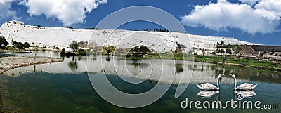 Panoramic mountain lake and loving swans Stock Photo