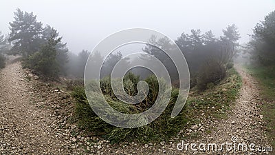 Panoramic of mountain landscape with path that is lost in the thick fog Stock Photo