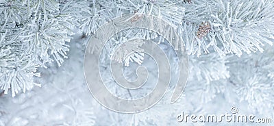 Panoramic Nature Winter background with snowy pine tree Stock Photo