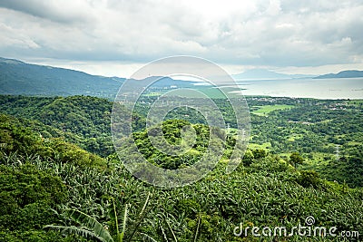 Panoramic overlooking view of green tropical vegetation Stock Photo