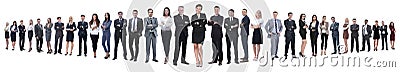 Panoramic photo of a group of confident business people. Stock Photo