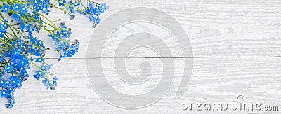 Panoramic Rustic light background with forget-me-not flowers Stock Photo