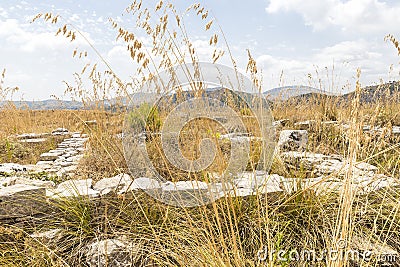 Panoramic SIghts of The Acropoli at Segesta Archaeological Park in Trapani, Italy. Stock Photo