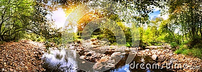 Panoramic summer landscape with forest stream Stock Photo