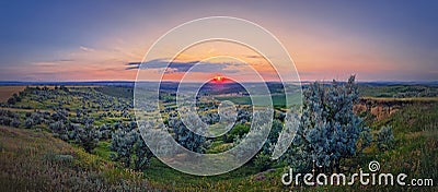 Panoramic summer sunset. Scenic view over the green valley with bushes. Evening natural landscape Stock Photo