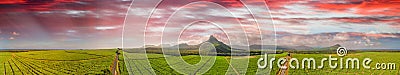 Panoramic sunset view of Mt Rempart and surrounding meadows, Mauritius Stock Photo