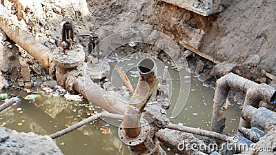 Sewer shark plumbing products Sewer shark plumbing products
