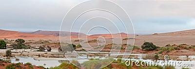 Panoramic view accross Sossusvlei to the south-west Stock Photo
