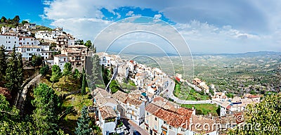 Panoramic view of the Andalusian olive tree valley from the mountain of the village of La Iruela Stock Photo