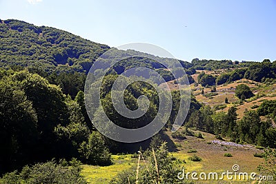 Panoramic view of the Apennine mountains, covered with green beech trees, Abruzzo, Italy Stock Photo