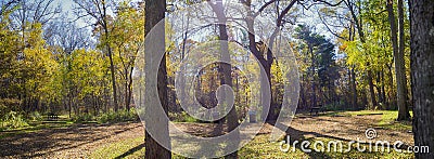 Panoramic view of autumn vegetation on a trail at Point Pelee Na Stock Photo