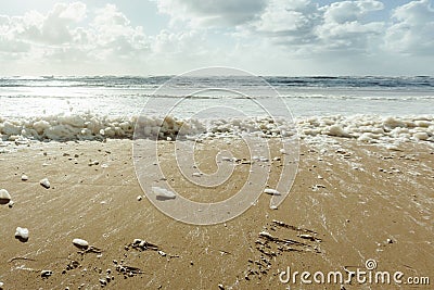 Panoramic view of the beach and the mud flat sea Stock Photo