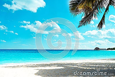 Panoramic view of a beautiful sunny day on sandy beach in the Maldives. Stock Photo