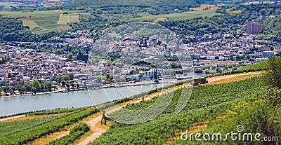 Panoramic view of the city by the river and vineyards. Tourism theme in Germany. Work of a tractor in a vineyard overlooking the Stock Photo