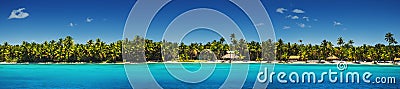 Panoramic view of Exotic Palm trees on the tropical beach Stock Photo