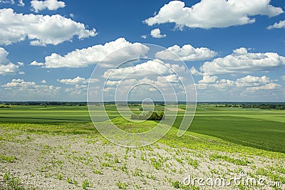 Panoramic view of fields, copse and blue sky Stock Photo