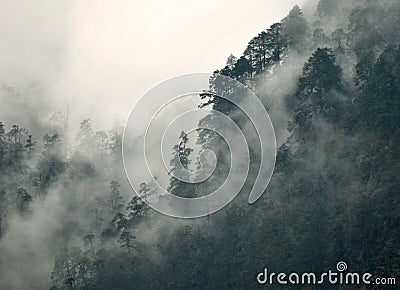 Fog and Mist Covered Mountainous Terrian Stock Photo