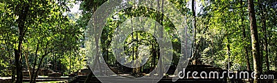 Panoramic view of half excavated ruins, Palenque, Chiapas Stock Photo